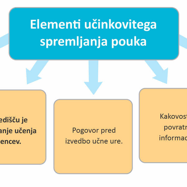 Elementi učinkovitega spremljanja pouka